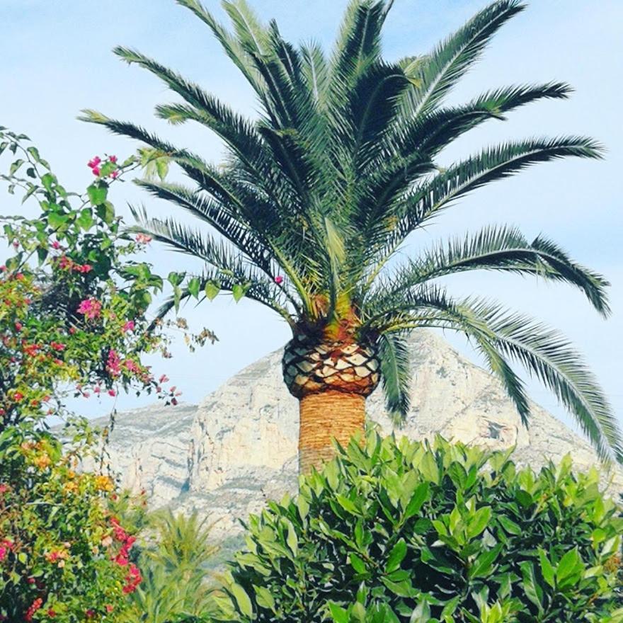Apartment PaCa Jávea Extérieur photo